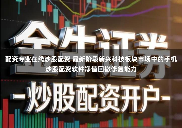 配资专业在线炒股配资 最新阶段新兴科技板块市场中的手机炒股配资软件净值回撤修复能力