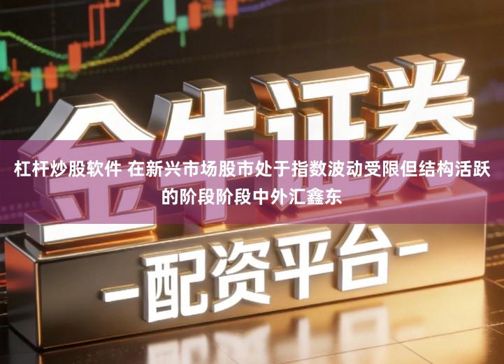 杠杆炒股软件 在新兴市场股市处于指数波动受限但结构活跃的阶段阶段中外汇鑫东