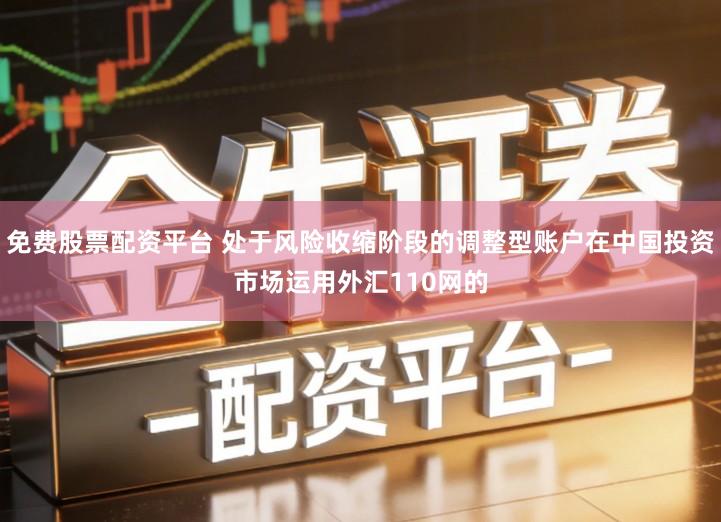 免费股票配资平台 处于风险收缩阶段的调整型账户在中国投资市场运用外汇110网的
